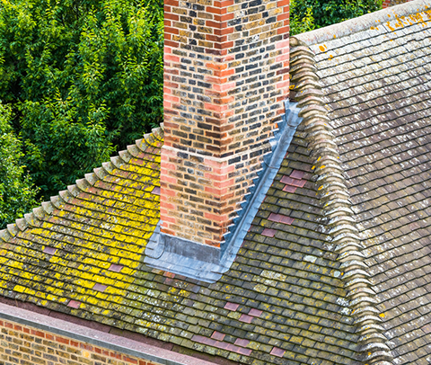 Chimney Leak Detection & Diagnostic by Eagle Chimney Service — licensed Maryland technician